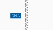 DNA