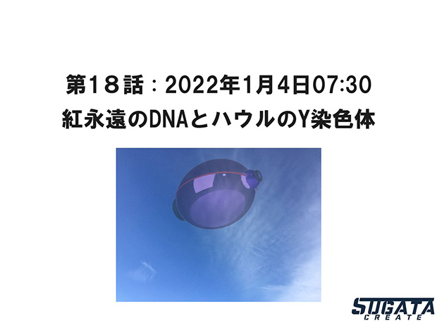 無限友・永遠&桜 Episode 2 未来と過去 第１８話「紅永遠のDNAとハウルのY染色体」のタイトル画像